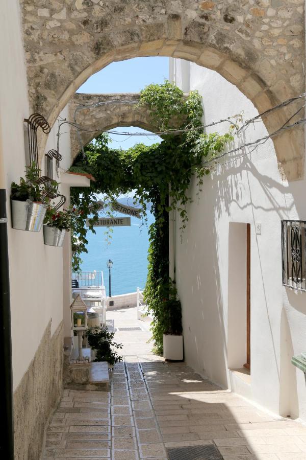 Piazzetta Petrone Apartments + Parking Vieste Luaran gambar
